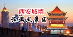 成人免费影视专操老逼中国陕西-西安城墙旅游风景区